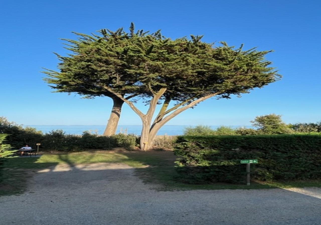 Mobilhomes Quiberon Camping Conguel - Bord De Mer Экстерьер фото