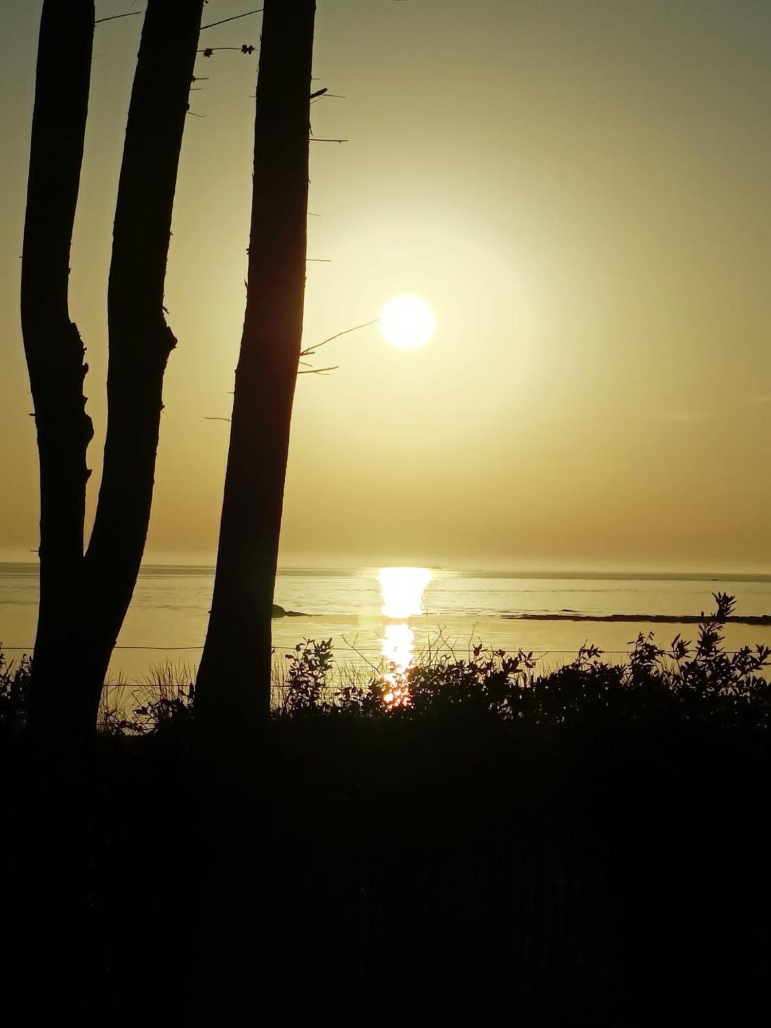 Mobilhomes Quiberon Camping Conguel - Bord De Mer Экстерьер фото
